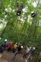 Personen mit Helmen in Wald