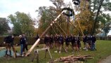 Studierende stellen den Baum auf.