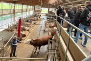 Anwendung im Stall