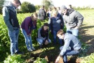 Mehrere Personen stehen um Grube in Feld