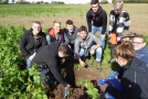 Mehrere Personen heben Grube auf Feld aus